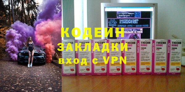 индика Алексин