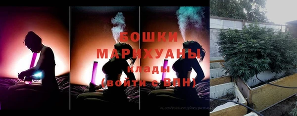 индика Алексин