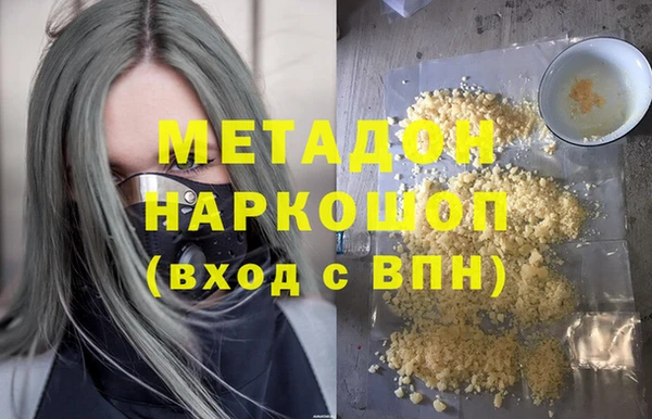 индика Алексин
