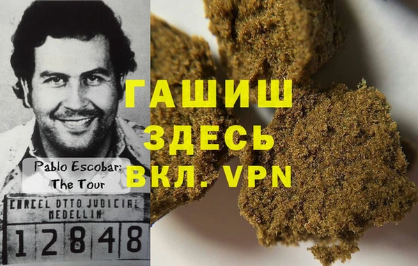 индика Алексин