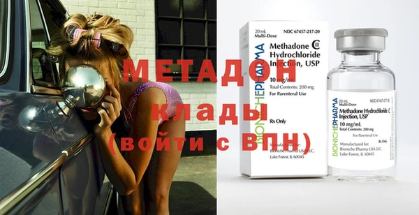 индика Алексин