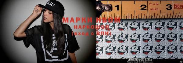 индика Алексин
