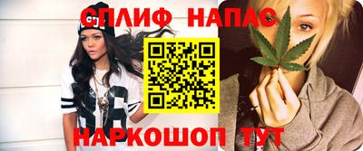 винт Партизанск